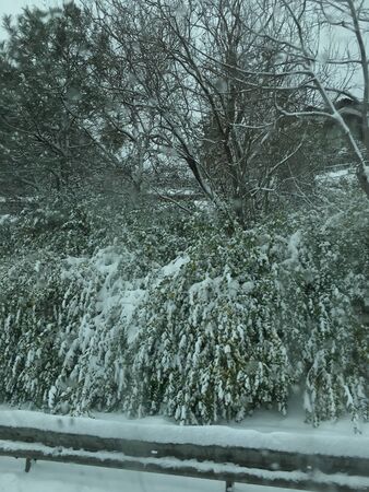 outdoors snow isolate backgroundの写真素材