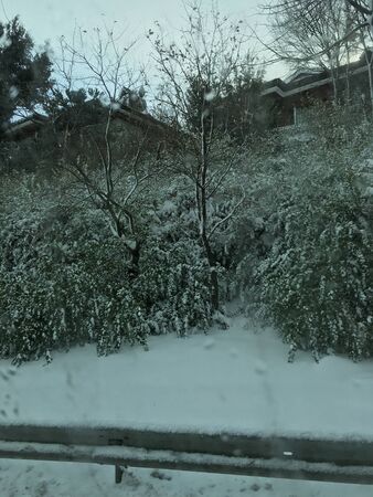 outdoors snow isolate backgroundの写真素材