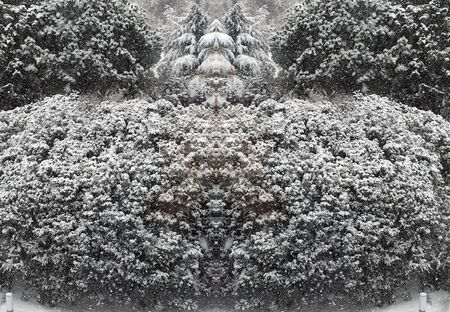 outdoors snow isolate backgroundの写真素材