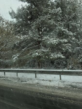 outdoors snow isolate backgroundの写真素材