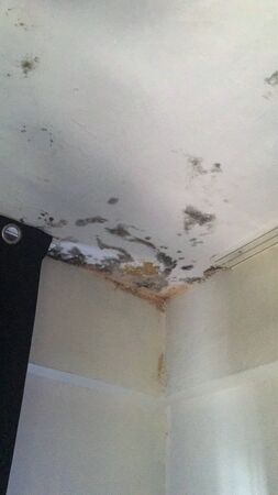 rotten ceiling isolate backgroundの写真素材