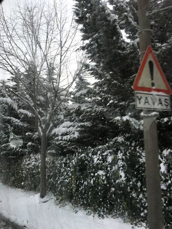 outdoors snow isolate backgroundの写真素材