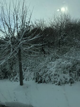 outdoors snow isolate backgroundの写真素材