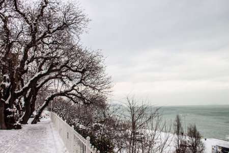 outdoors snow isolate backgroundの写真素材
