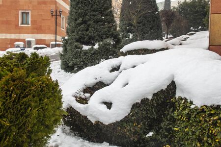 outdoors snow isolate backgroundの写真素材