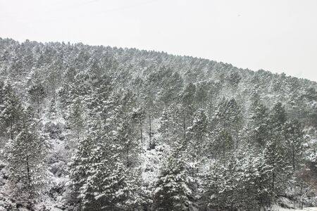 outdoors snow isolate backgroundの写真素材