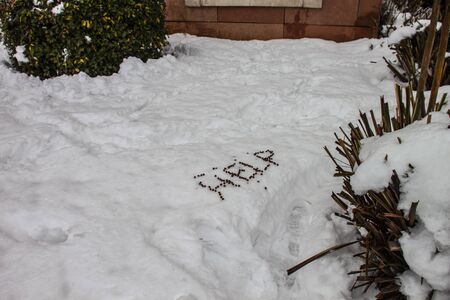 outdoors snow isolate backgroundの写真素材