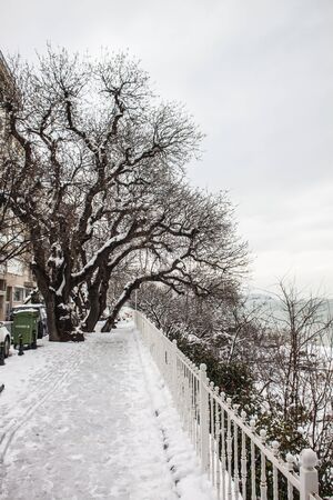 outdoors snow isolate backgroundの写真素材