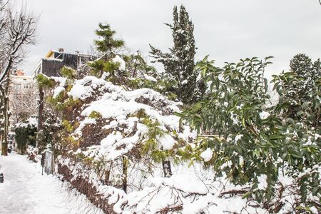 outdoors snow isolate backgroundの写真素材