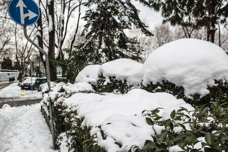 outdoors snow isolate backgroundの写真素材