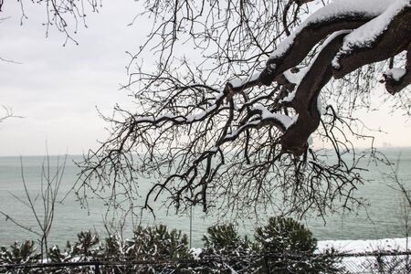outdoors snow isolate backgroundの写真素材