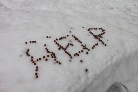 outdoors snow isolate backgroundの写真素材
