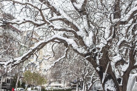 outdoors snow isolate backgroundの写真素材