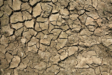 Detailed texture: broke dry soil background
