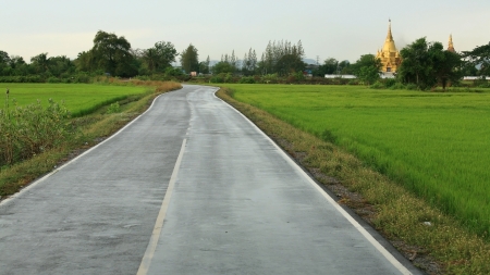 Transportation  empty wet street to gold pagodaの写真素材