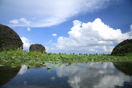 Natural scenic of paddy field and lotus along the Ngo Dong river against blue sky at Tam Cocin Ninh Binh, Vietnamの写真素材