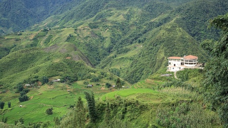 Aerial view of building and green terraced rice fields on the mountain at Cat Cat village in Sapa, Vietnamの写真素材