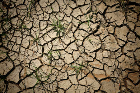 Dry cracked earth with alive grassの写真素材