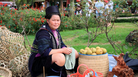 SAPA - JUL 22  Unidentified Black Hmong s woman from Cat Cat village sells fruits and baskets on July 22, 2012 in Sapa, Vietnam  Since Cat Cat closes to Sapa, tribes walk to Sapa city to sell goods  のeditorial素材