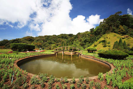 Bridge across the pond at Doi Inthanon park in Chiangmai, Thailandの写真素材