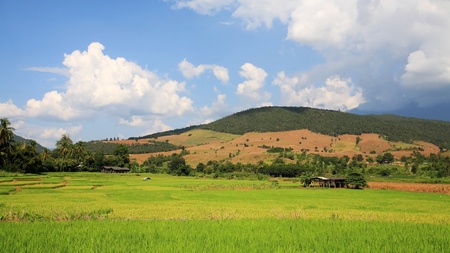 Wooden hut and rice field at the valley against blue sky in Chiang Mai, Thailand の写真素材
