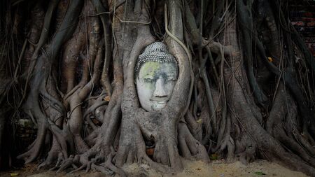 Smile Buddha head covered by tree root at wat Mahathat in Ayutthaya  Thailand の写真素材