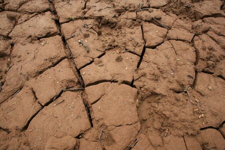 Closeup texture of Dry cracked earthの写真素材