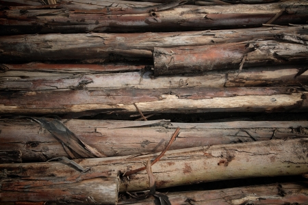 Stack wooden logs with natural pattern grunge の写真素材