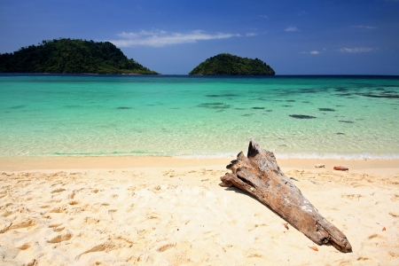 Tropical beach with wooden log and crystal Andaman sea at Khai lslandの写真素材