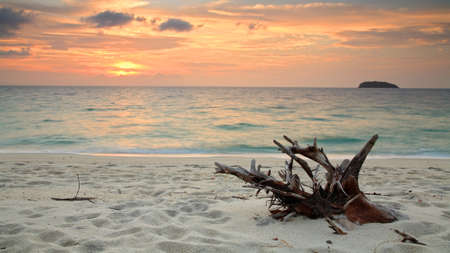 Beautiful tropical beach with wooden twig at twilight in the morning at Koh Adang in Satun, Thailandの写真素材