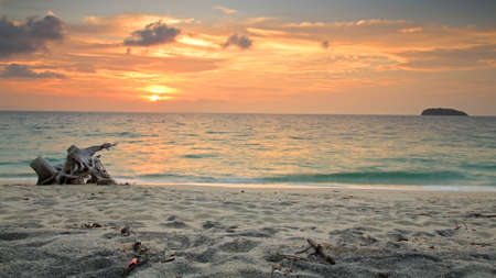 Drift wood on sandy beach  at sunset in koh Adang national park in Satun, Thailandの写真素材