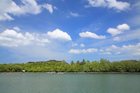 Fisherman floating rafts near mangrove forest in Satun, Thailandの写真素材