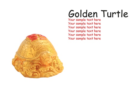 Golden turtle, symbol of Chinese fortune, isolated on whiteの写真素材