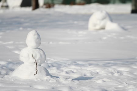 Small snowman の写真素材