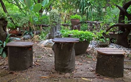 tree trunk seats at the gardenの写真素材
