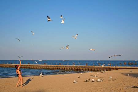 CHICAGO, IL, US - JULY 30, 2007: Unidentified girl playing with seagulls at Uptown beach, the shores of lake Michigan, in Summer time.のeditorial素材