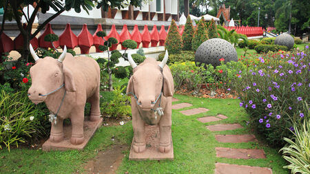 Cow sculpture decorated on the gardenの写真素材