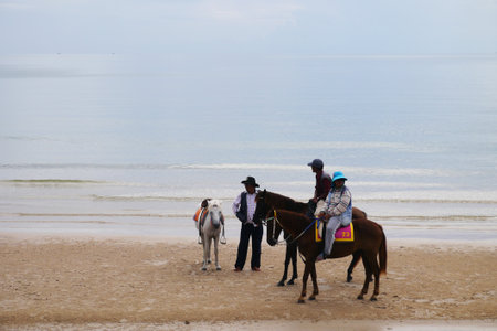 HUA HIN, THAILAND - AUGUST 31, 2014: Unidentified owners and horses on the beach wait visitors to purchase horse rider service at Huahin beach.のeditorial素材