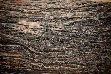 textured background of old wooden grunge panelsの写真素材