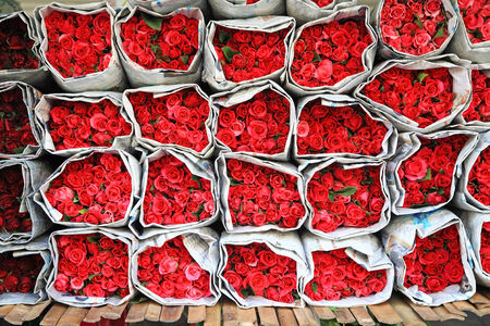roses wrapped by newspaper in bangkok flower market, Pak Klong taladの写真素材