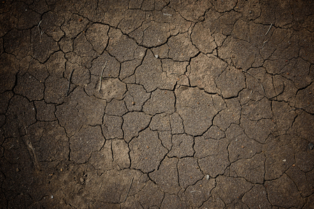 Wet cracked earth or dirt for texture pattern background, Thai Water crisisの写真素材