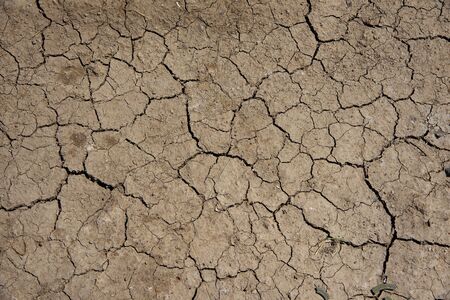 cracked clay ground at summer season, textured backgroundの写真素材