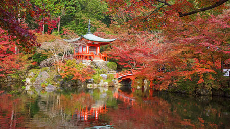 Daigoji temple with coloful maple trees at Autumn in Kyoto, Japanのeditorial素材