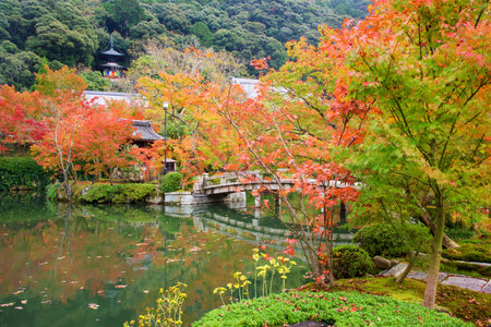 Beautiful Autumn foliage garden and pagoda at Eikando temple in Kyoto, Japan.のeditorial素材