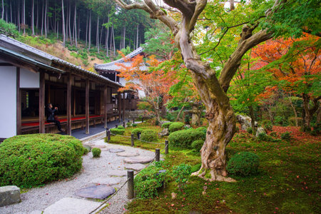 KYOTO, JAPAN - NOVEMBER 13, 2015: Unidentified woman in Enkoji temple to enjoy Autumn colorful...