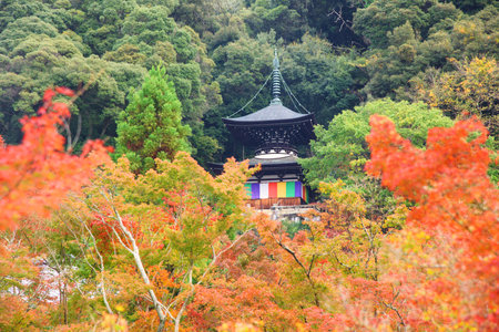 Tahoto Pagoda on the hillside with autumn foliage leaves of Eikando or Zenrinji in Kyoto, Japanのeditorial素材