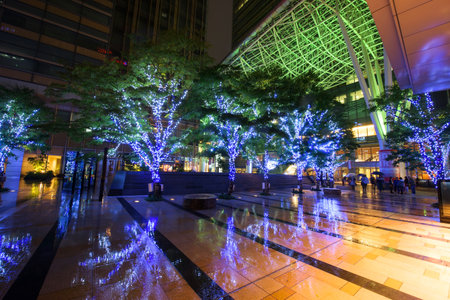 TOKYO, JAPAN - NOVEMBER 14, 2015: Light illustration on trees with reflection at Modern Roppongi Midtown complex. Here is famous on Roppongi Hills and active night club scene in Tokyo.のeditorial素材