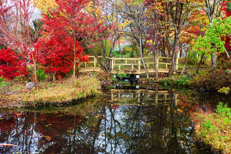Wooden bridge surrounded by autumn colors with reflection on the pondの写真素材