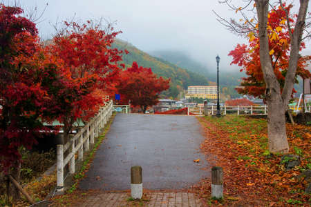 Bridge surrounded by autumn color foliage in Kawaguchiko, Japanの写真素材