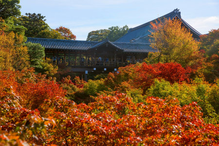 KYOTO, JAPAN - NOVEMBER 11, 2015: Unidentified people visit Tofuku-ji Temple. Here is very famous to see autumn maple leaves in autumn season.のeditorial素材